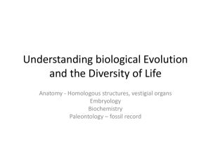 Understanding biological Evolution and the Diversity of Life