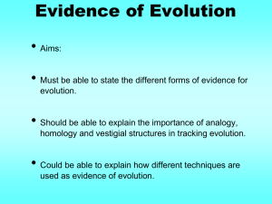 Biology 4.28 Evidence for Evolution