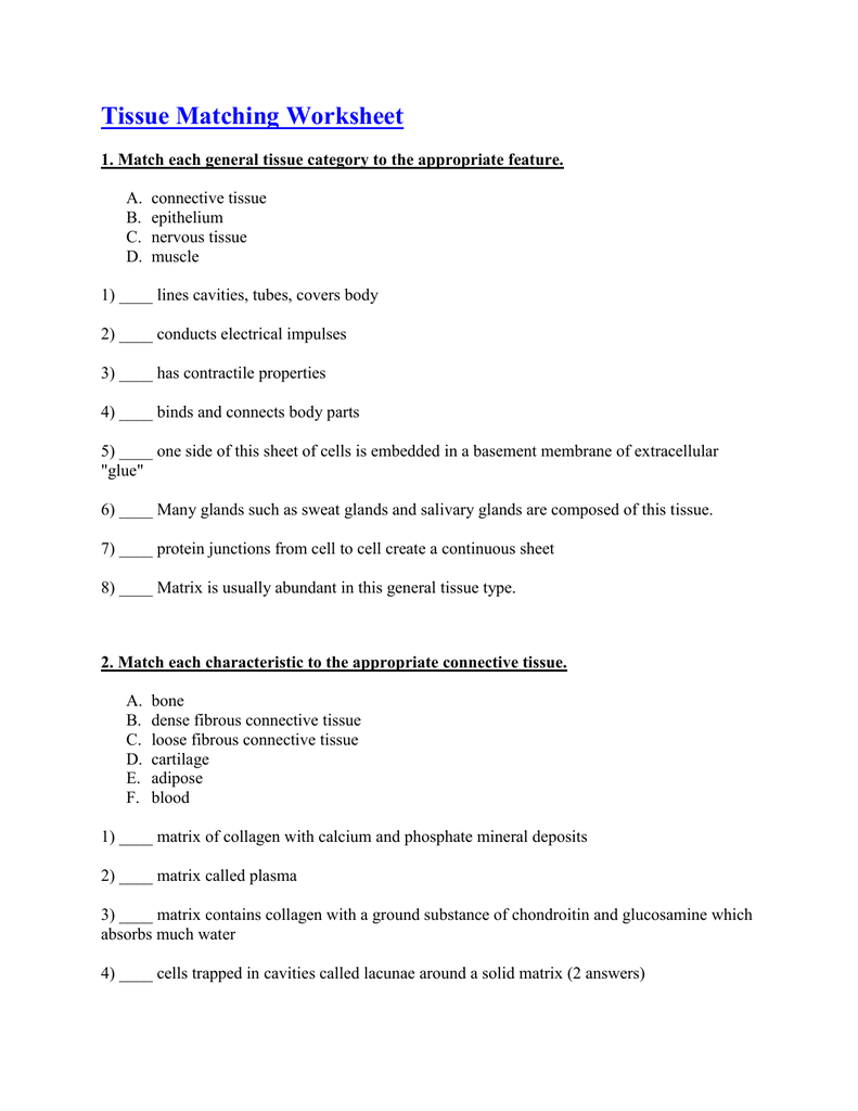 connective-tissue-matrix-worksheet-answers-athens-mutual-student-corner