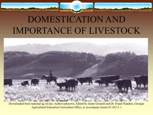 importance of livestock