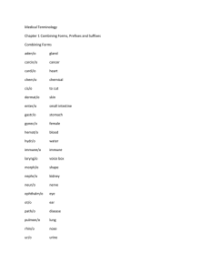 Medical Terminology Chapter 1 Combining Forms, Prefixes and