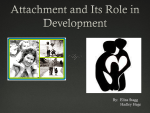 What is the Attachment Theory