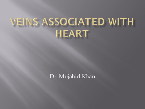 14-Veins associated with heart