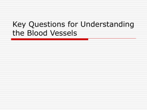 Key Questions for Understanding the Blood Vessels