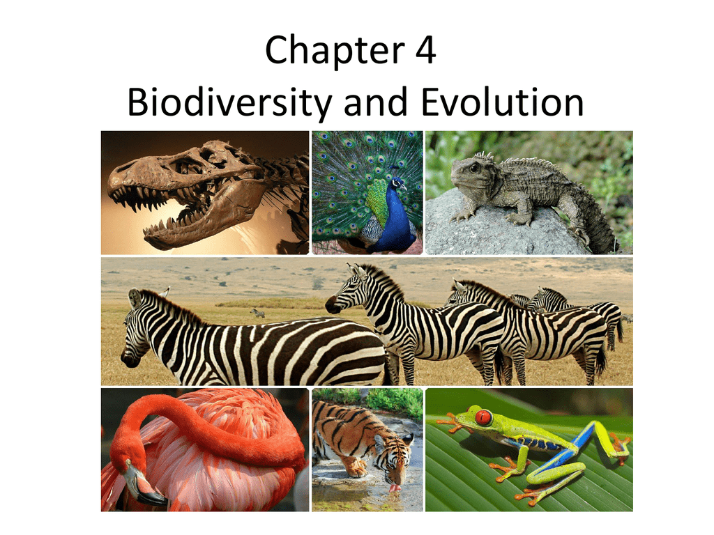 aplia assignment biodiversity and evolution
