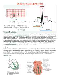 Electrocardiogram (EKG, ECG) - Dr. Ray Winstead's Front Page