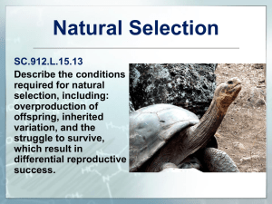 L.15.13 Natural Selection