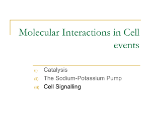 Molecular Interactions in Cell events