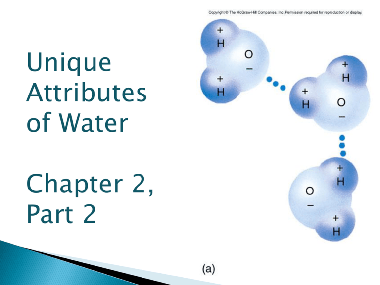 Surface Water Is Also Called