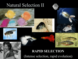 Natural Selection II