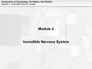 Module4IncredibleNervousSystem