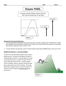 studylib.net - Essays, homework help, flashcards, research papers, book