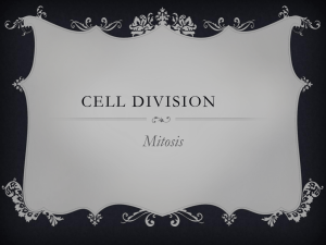 Cell Division - Valhalla High School