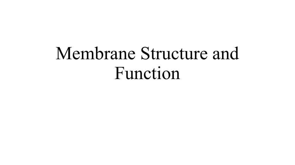 Membrane Structure Chart Answers