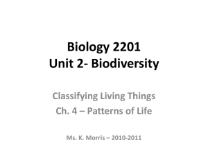 Bio 2201 - Ch. 4 Notes 2010