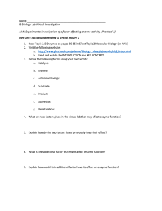 Practical 3 Virtual Enzyme Rates - lapazcolegio2015-2016