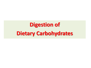 Carbohydrates & Proteins Digestion