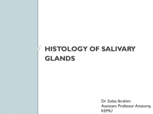 Histology of Salivary Glands – Lecture by Dr. Sobia Ibrahim