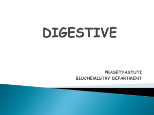 23. digestive pt