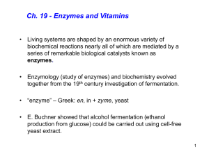 Chem 306 Ch 19 Enzymes Spring 2007