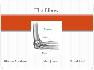 Elbow Lab Presentation