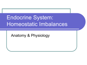 Endocrine System: Homeostatic Imbalances