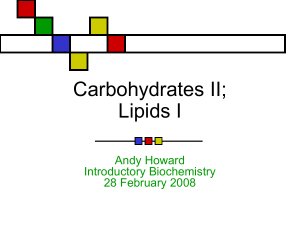 lipids1