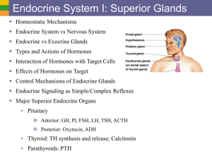 1a Endo Sys I - Superior Glands