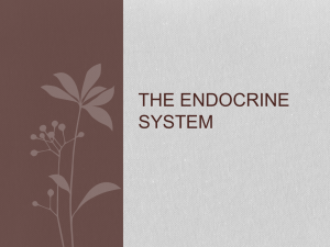 The Endocrine System