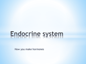 Endocrine system notes
