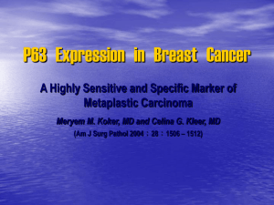 P63 Expression in Breast Cancer