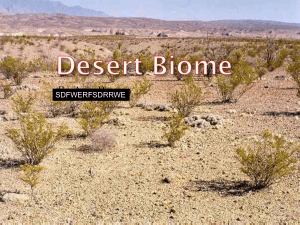 Desert Biome - mr. welling' s school page