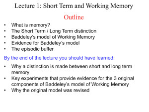 Short Term and Working Memory Outline