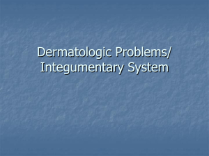 Dermatologic Problems / Integumentary System