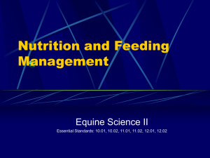 Nutrition and Feeding Management PPT