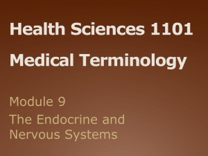 Endocrine and Lymphatic Systems