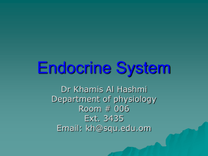 Nervous Vs Endocrine system