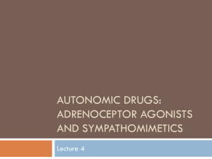 Autonomic drugs: Adrenoceptor Agonists and Sympathomimetics