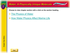 The Physics of Water Heat and Heat Capacity