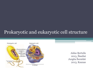 prokaryote and eukaryote.