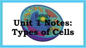 Prokaryotic Cells vs Eukaryotic Cells ppt