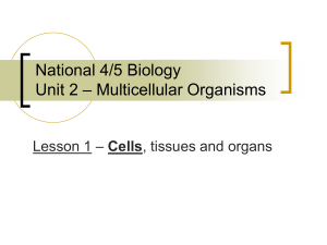 National 5 Biology Unit 2 – Multicellular Organisms
