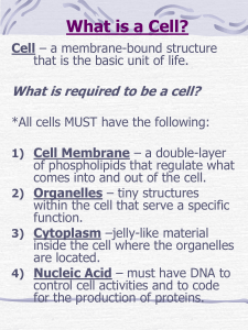 Unit Three: *Cell Structure and Function*