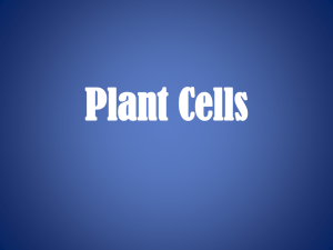 Plant Cells_AG_final