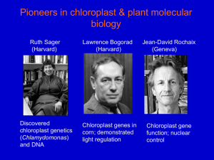 Chloroplast Biology - web.biosci.utexas.edu