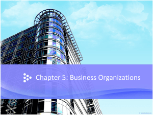 Chapter 5: Business Organizations