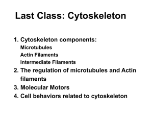 Class_15: Extracellular Matrix Proteins