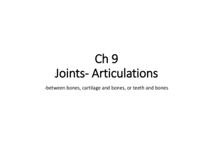 Joints- Articulations