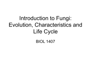 Introduction to Fungi: Evolution, Characteristics and Life Cycle
