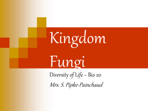 Kingdom Fungi Informational Powerpoint